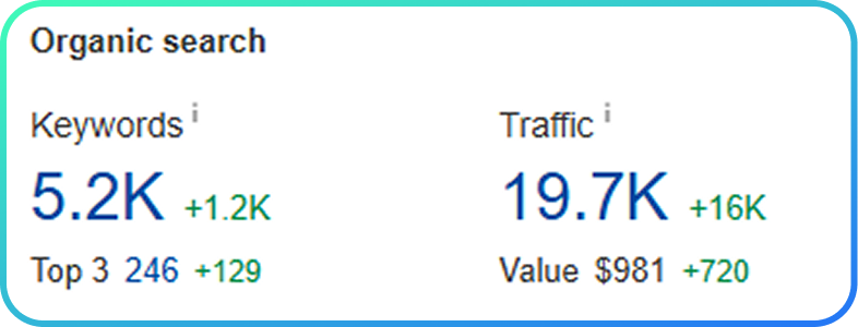 SEO search #4