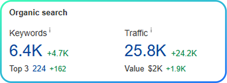 SEO search #1