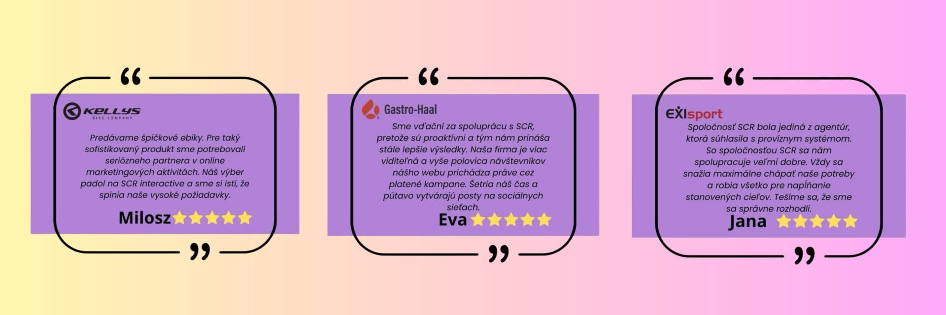 SEO recenzie